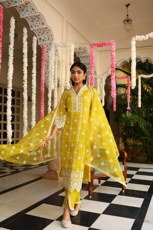 Corn Yellow Chikankari Organza Kurta Set